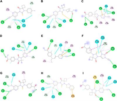 Exploring novel Apalutamide analogues as potential therapeutics for prostate cancer: design, molecular docking investigations and molecular dynamics simulation